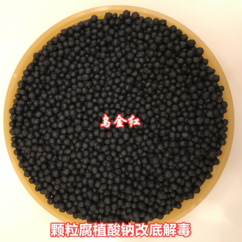 顆粒800乘以800加字.jpg