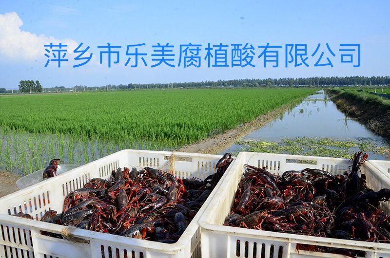 QQ图片20190310171031.jpg