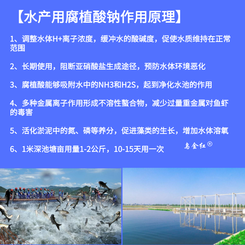 水產用作用原理_主圖直通車_2019.06.21.png